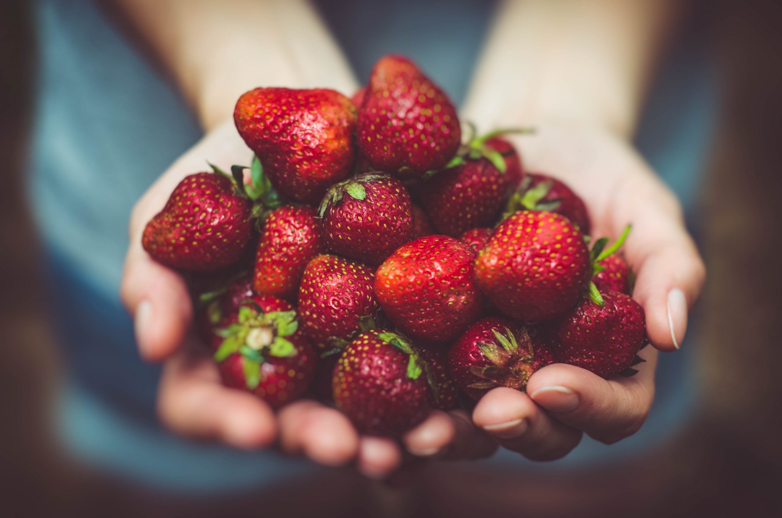 HACCP Hakkında En Çok Merak Edilenler