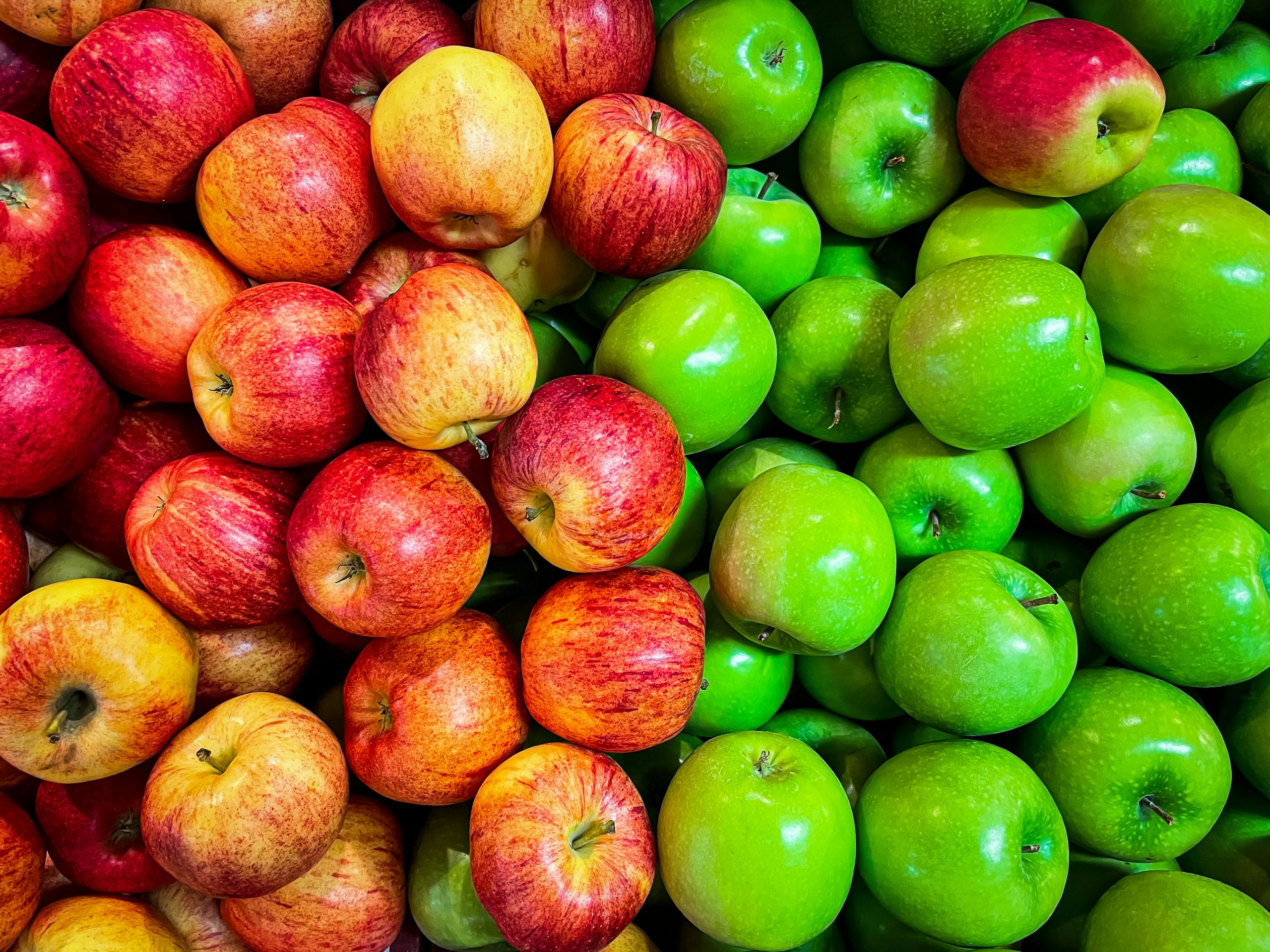 IFS Food Standardı V8 Nedir?