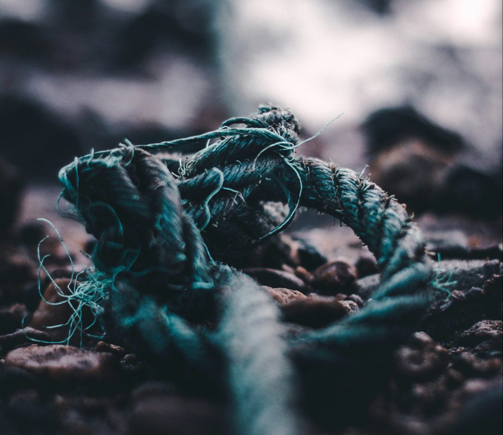 Leveraging ISO Standards to Counteract Key Global Risks in 2023
