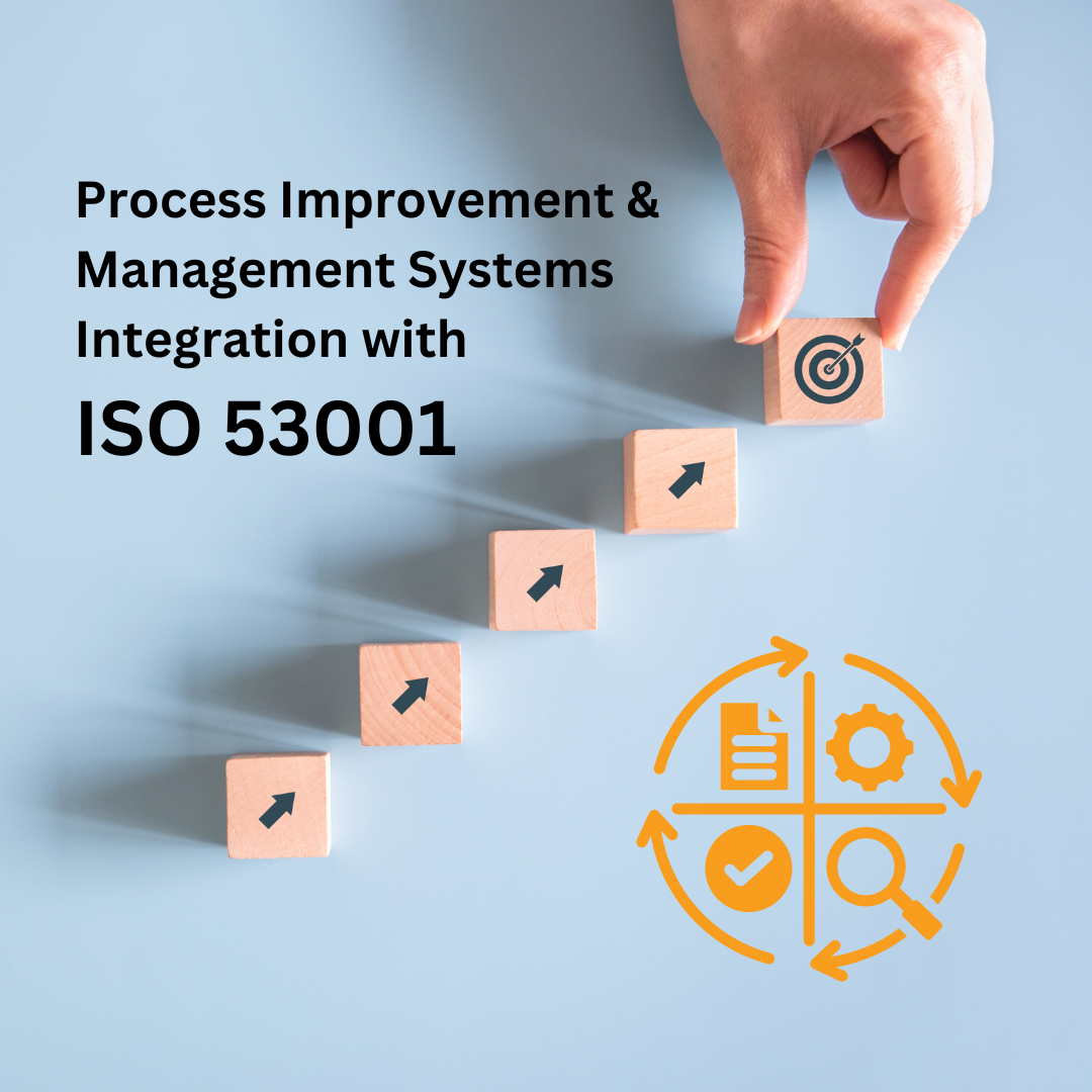 Process Improvement and Management Systems Integration with ISO 53001
