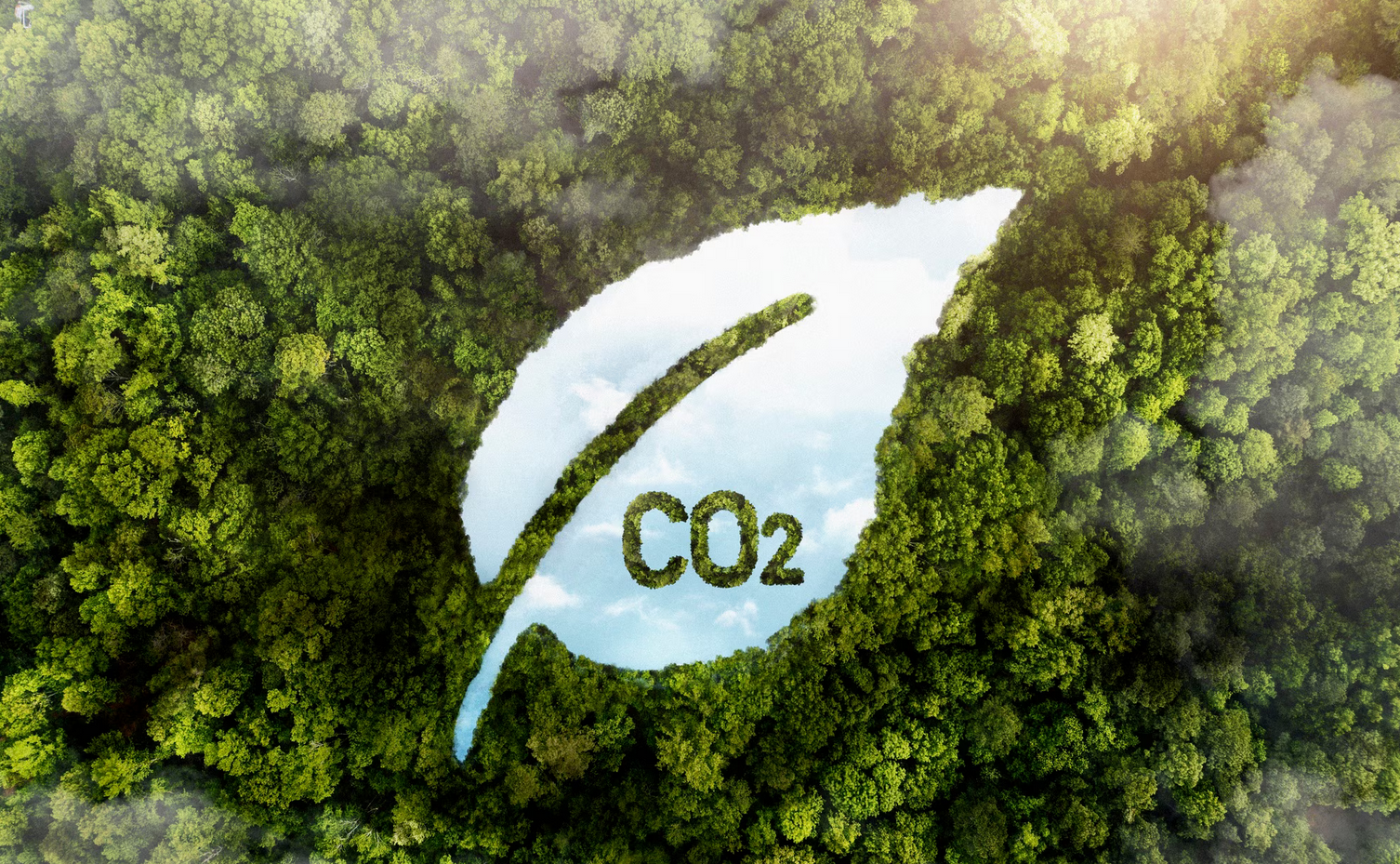 Integrated Carbon Strategy with Management Systems