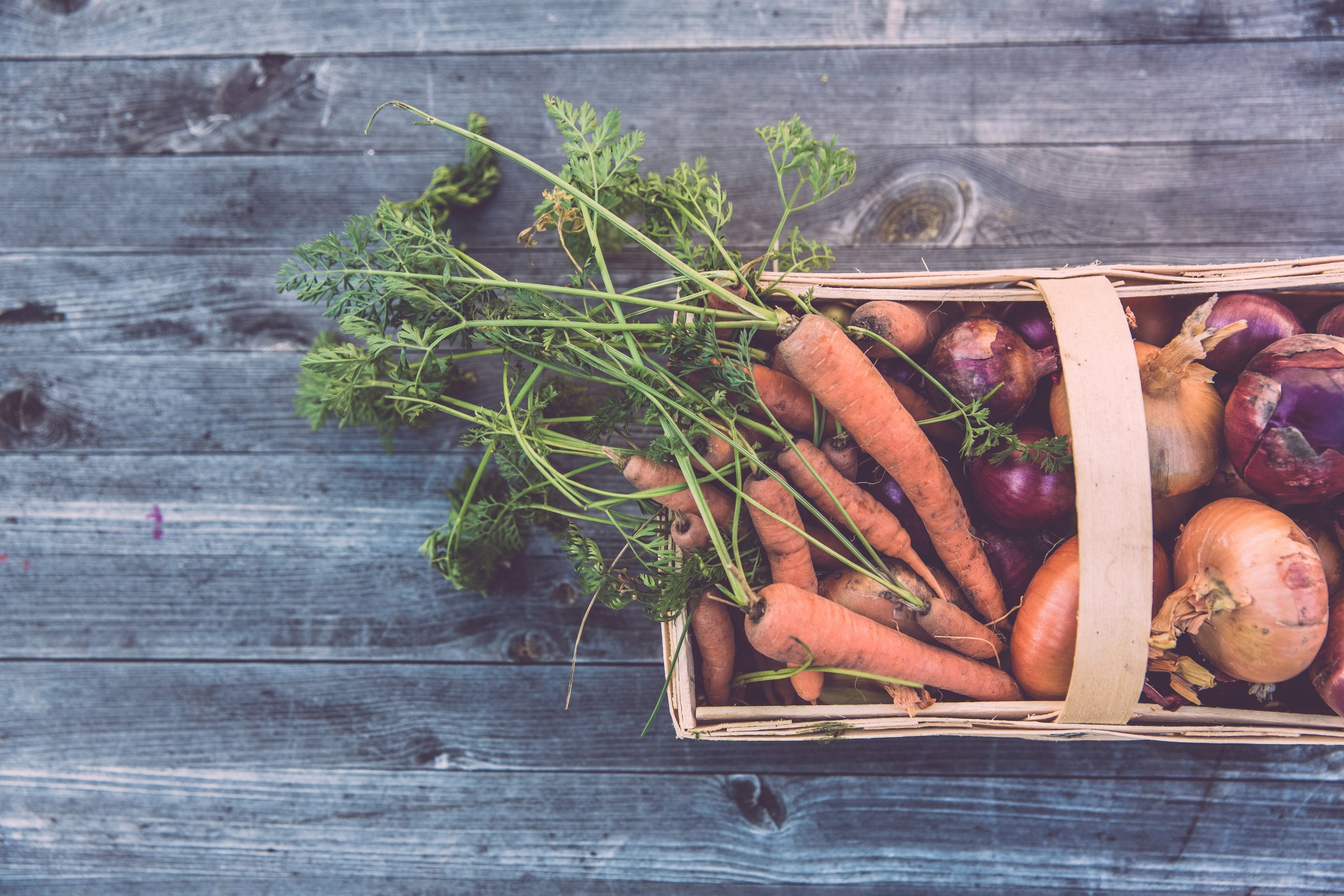 Supplier Audits in the Food Sector