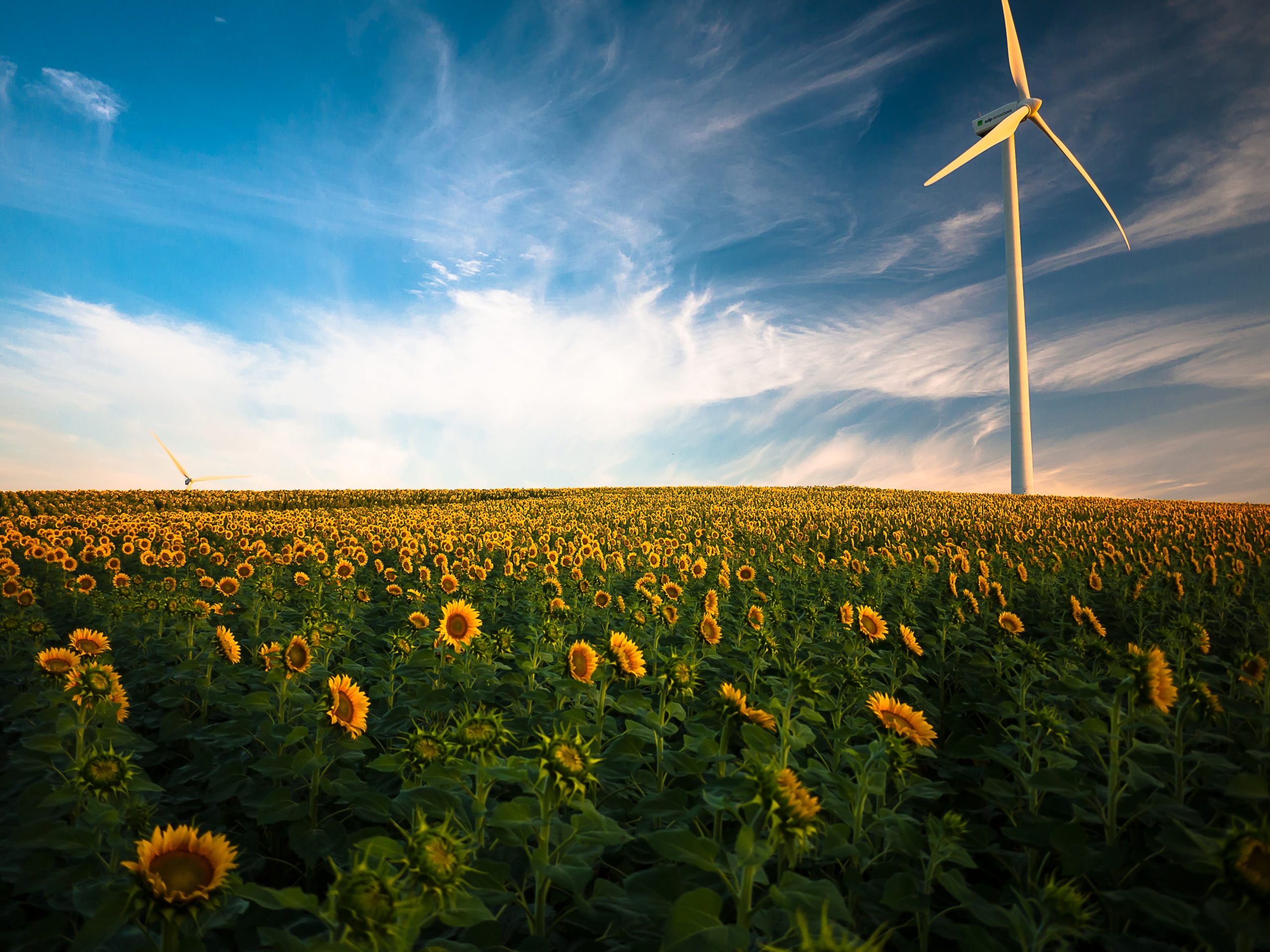 ISO 14001:2015 Environmental Management System