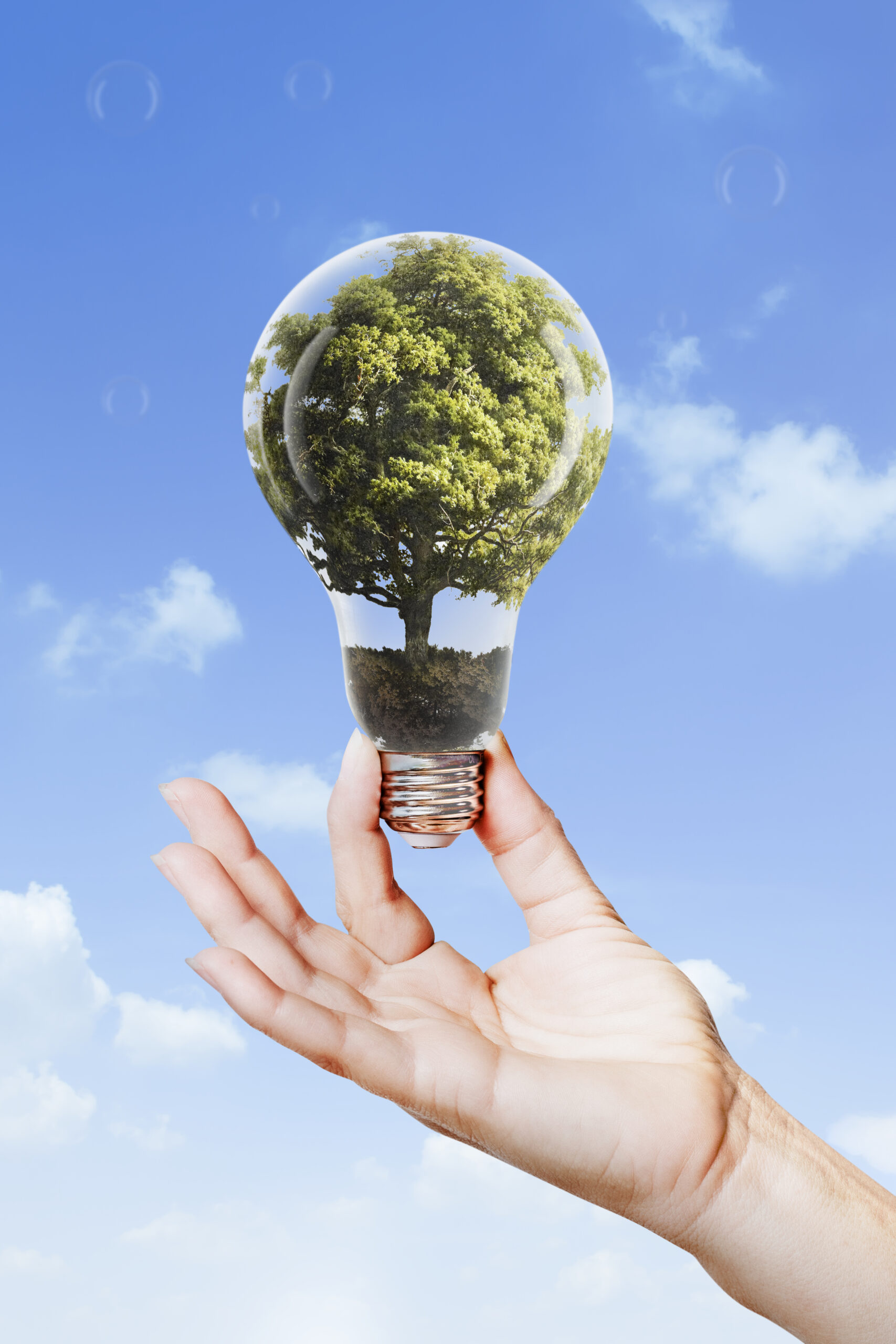 ISO 14001:2026 Çevre Yönetiminde Stratejik Dönüşüm