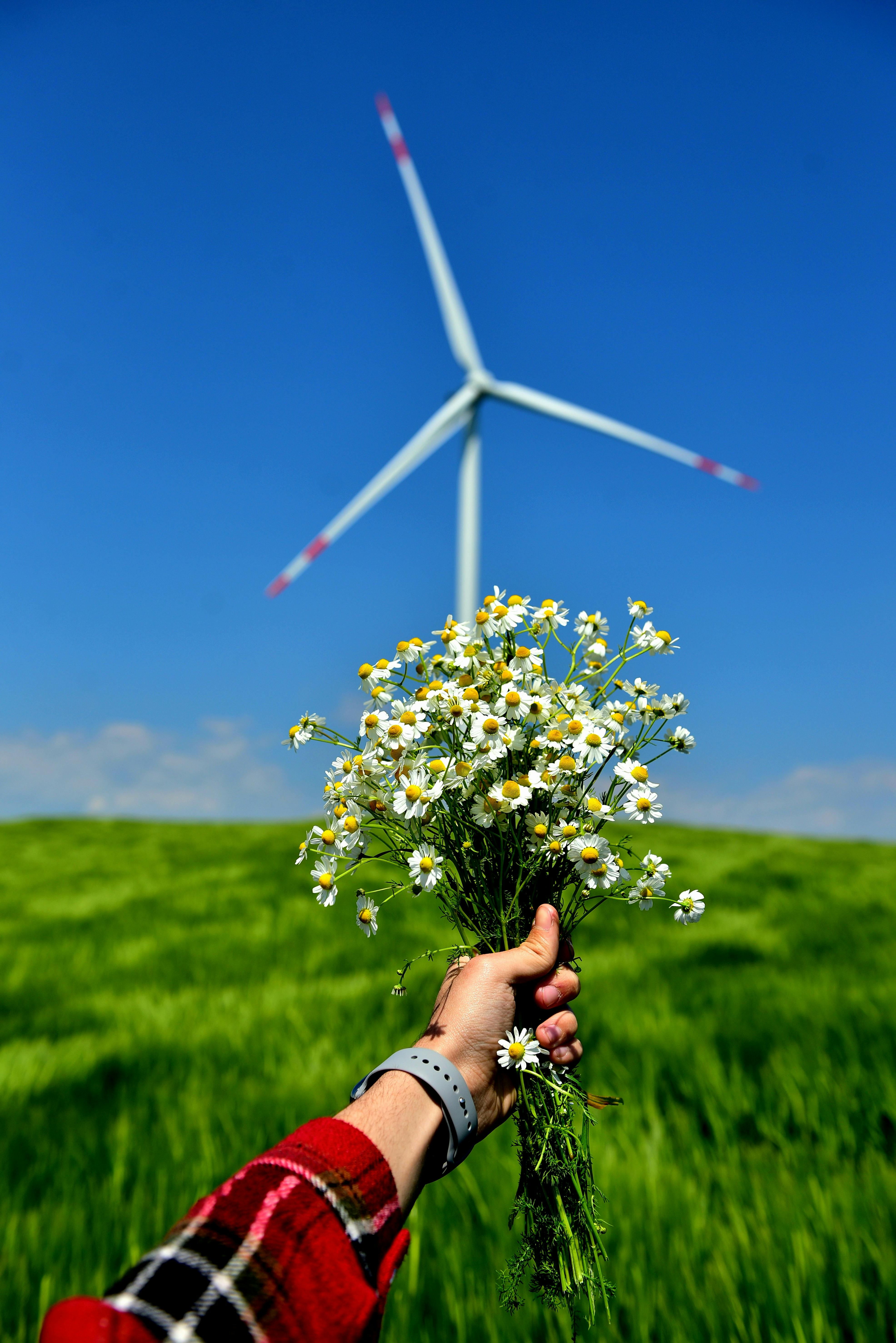 ISO 14001:2026 ile Çevre Yönetiminde Yeni Bir Sayfa